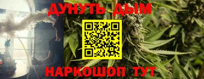 ешки Дубна