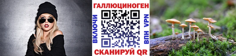 Псилоцибиновые грибы ЛСД  дарк нет Telegram  Нижний Новгород  сколько стоит 