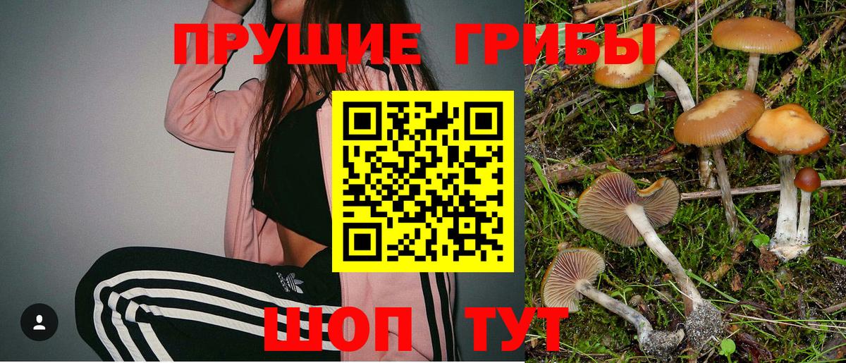 где продают   Галлюциногенные грибы Psilocybe  Галлюциногенные грибы Psilocybine cubensis  Вход с VPN  Нижний Новгород 