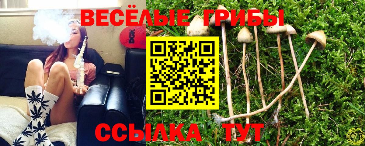 Галлюциногенные грибы GOLDEN TEACHER Нижний Новгород