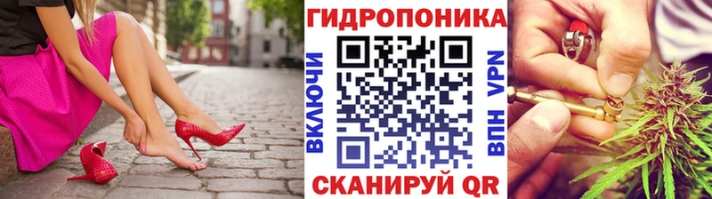 дарк нет как зайти  Нижний Новгород  МАРИХУАНА ГИДРОПОН 